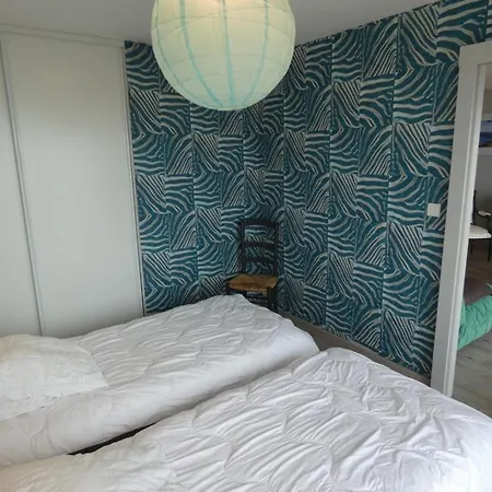 Apartmán - Face Ocean - 6 Pers - Animaux Sur Autorisation - Fr-1-540-120