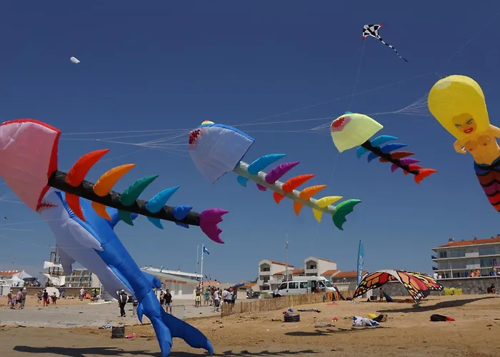 - Face Ocean - 6 Pers - Animaux Sur Autorisation - Fr-1-540-120 *