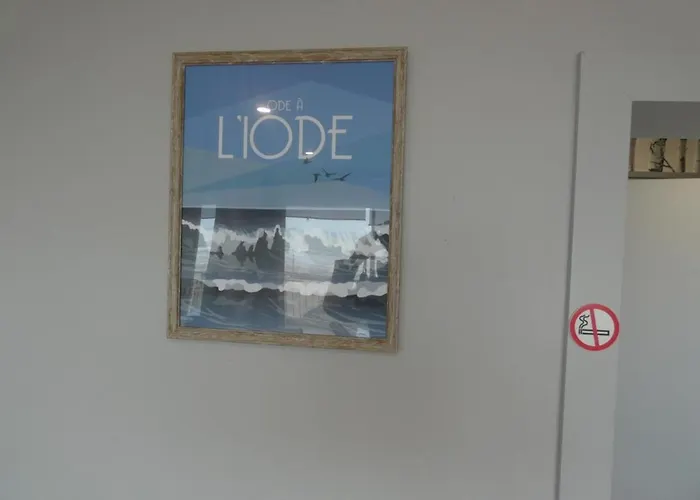 Apartment - Face Ocean - 6 Pers - Animaux Sur Autorisation - Fr-1-540-120