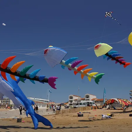 - Face Océan - 6 Pers - Animaux Sur Autorisation - Fr-1-540-120 *